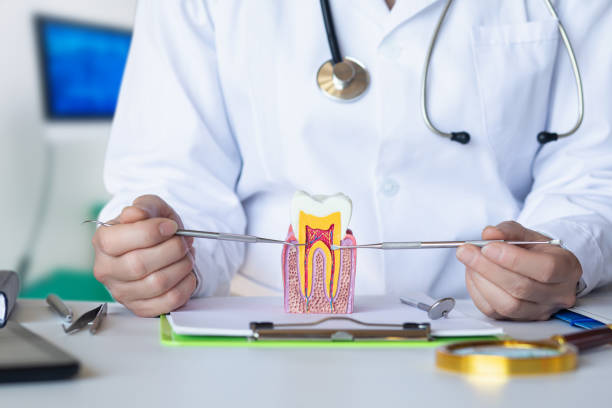 Best Emergency Orthodontic Services in Huber Ridge, OH